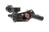 Термостат MB W176/Citan/ Renault Clio/Kangoo/Megane 1.5 D/dCI/Cdi 09- (83C) RENAULT 110608431R (фото 3)
