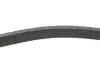 Комплект ременя генератора Duster/Dokker/Logan/Sandero 1.4/1.6 i 04- (6PK1822) RENAULT 117206746R (фото 3)