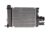 Радіатор інтеркулера Renault Clio/Dacia Logan/Dokker 1.5dCi 12- RENAULT 144967634R (фото 1)