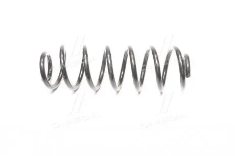 Пружина підв. VW Passat 05-10 задн. RIDER RD.28110069