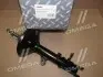 Амортизатор подв. HYUNDAI MATRIX 01-10 задн. прав. газ. RIDER RD.2870333504 (фото 2)