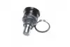 Опора шаровая FORD FIESTA VI, B-MAX 08- RIDER RD.99351737309 (фото 1)