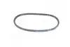 Ремень ГУР CHERY AMULET, ZAZ FORZA RIDER RD.A113412051 (фото 1)