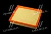 Фільтр повітряний ExtraClean FORD RIDER REC130190 (фото 3)