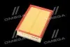 Фильтр воздушный ExtraClean OPEL RIDER REC130194 (фото 2)