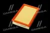 Фильтр воздушный ExtraClean FORD RIDER REC130277 (фото 2)