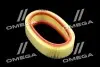 Фільтр повітряний ExtraClean DACIA RIDER REC130296 (фото 1)