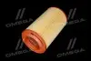Фильтр воздушный ExtraClean PSA RIDER REC200435 (фото 2)