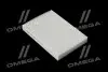 Фильтр салона ExtraClean DACIA RIDER REC610273 (фото 1)