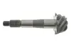 Головна пара в міст Nissan Navara (37x8) ROTWEISS 38100F5680 (фото 2)