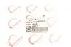 Петля дверей (передніх) Fiat Doblo 01- ROTWEISS 50512981 (фото 5)