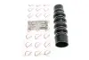 Патрубок інтеркулера Ford Transit Connect 1.5/1.5TDCi/1.6TDCi 13- ROTWEISS RWS3614 (фото 3)