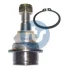 Опора кульова (передня/знизу) Ford Transit 00-14/Connect 02- RTS 93-00696-015 (фото 1)