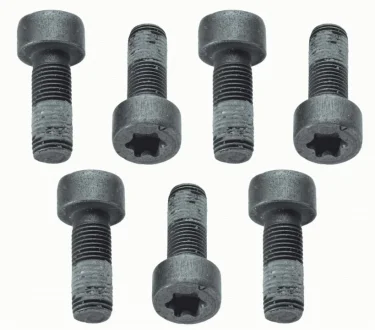 Болт з шестигранною головкою SACHS 1874 000 040