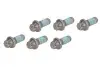 Комплект болтів маховика SACHS 1874 000 065