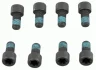 Болти кріплення маховика SACHS 1874000078 (фото 1)
