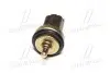 Датчик температури (вир-во) SASIC 3250012 (фото 2)
