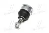 Опора кульова RENAULT LAGUNA I, SAFRANE I-II 92-01 перед. міст низ (Вир-во) SASIC 4005267 (фото 2)