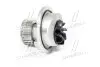 Водяний насос SCHAEFFLER GRUPPE 538 0296 10 (фото 3)