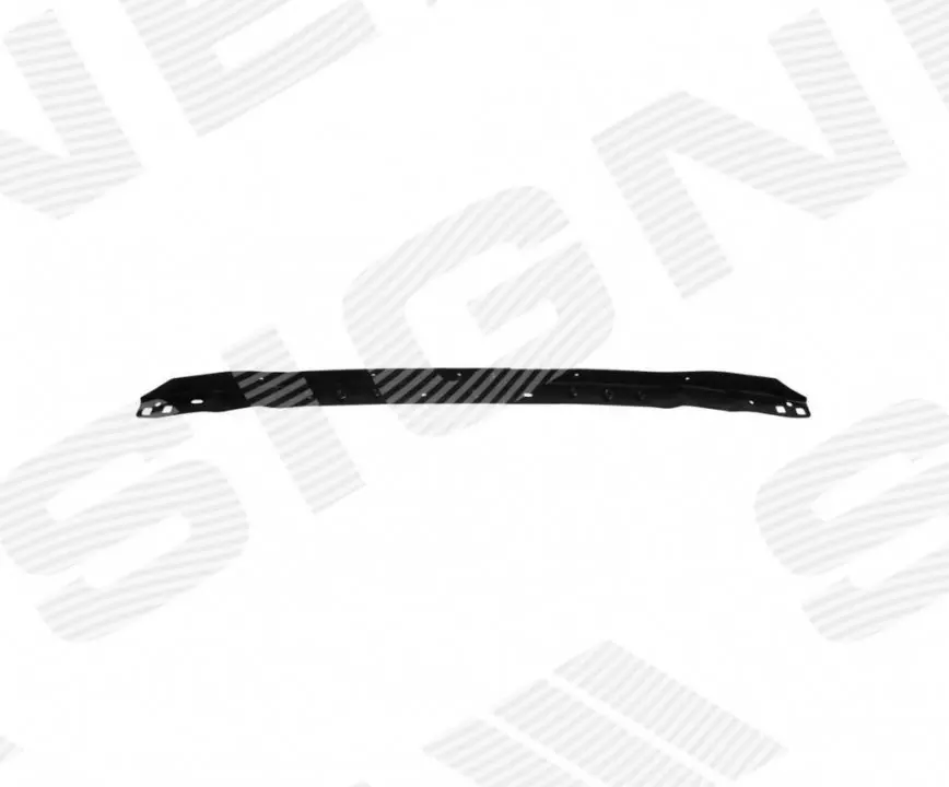 Оздоблення радіатору BMW X5 (G05) Signeda PBM33312A (фото 1)