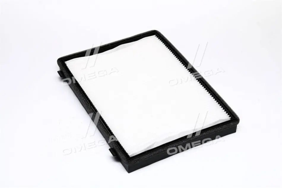 Фільтр салону SPEEDMATE SMCFG009E SK SPEEDMATE SM-CFG009E (фото 1)