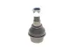 Кульова опора MERCEDES/VW Sprinter(901-904)/LT >>"06 SKF VKDS318009 (фото 1)