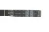 Комплект зубчастого ременя (Вир-во) SKF VKMA 03132 (фото 4)