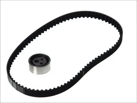 Роликовий модуль натягувача ременя (ролик, ремінь) SKF VKMA 06010