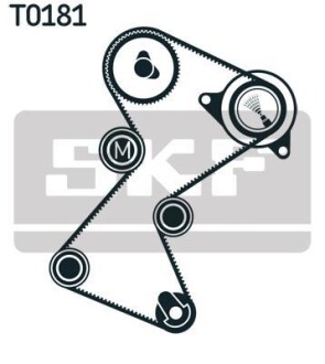 Роликовий модуль натягувача ременя (ролик, ремінь) SKF VKMA 06117