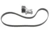 Роликовий модуль натягувача ременя (ролик, ремінь) SKF VKMA 31216