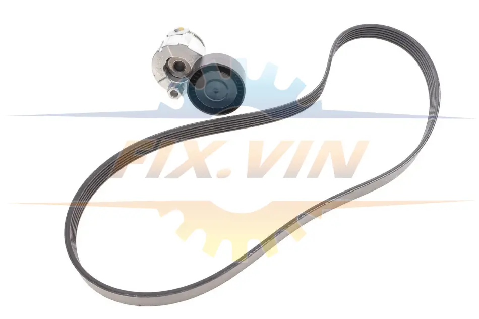 Ремкомплект привідного ременя DACIA/NISSAN/RENAULT "1,4-1,6 "01>> SKF VKMA36055 (фото 1)