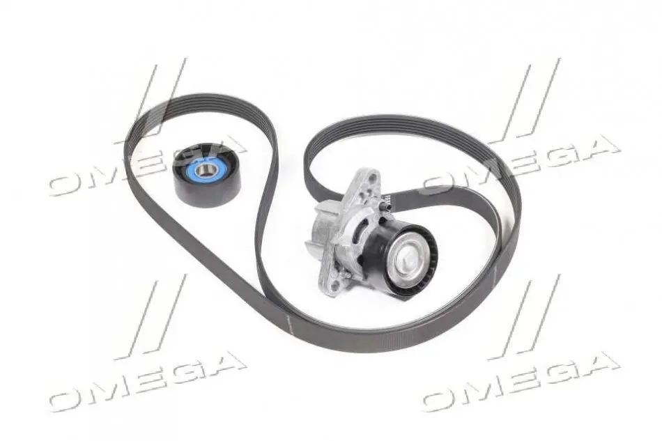 Роликовий модуль натягувача ременя (ролик, ремінь) SKF VKMA 36209 (фото 1)