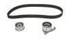 Роликовий модуль натягувача ременя (ролик, ремінь) SKF VKMA 91400 (фото 1)