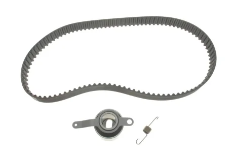Роликовий модуль натягувача ременя (ролик, ремінь) SKF VKMA93006