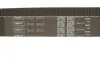 Роликовий модуль натягувача ременя (ролик, ремінь) SKF VKMA95613 (фото 3)