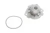 Водяний насос + комплект зубчастого ременя SKF VKMC 05194 (фото 14)