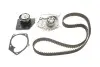 Комплект (ремінь+ролик+помпа) SKF VKMC06008 (фото 1)