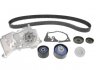 Ремкомплект ГРМ + помпа RENAULT Clio/Fluence/GrandScenic/Laguna/Megane/Modus/Scenic "1,6 "02>> VKMC06021