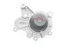 Водяний насос + комплект зубчастого ременя SKF VKMC 95660-3 (фото 9)