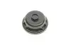 Ланцюг розподілвалу (к-т) NISSAN/OPEL/RENAULT Qashqai/X-Trail/Vivaro/Laguna/Megane/Trafic "2,0D "05> SKF VKML86000 (фото 19)