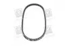 Ремінь клиновий 13AVx875 (Вир-во) SKF VKMV13AVx875 (фото 2)