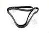 Ремінь поліклін. (вир-во) SKF VKMV6PK1795 (фото 4)