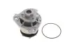 Насос охолоджуючої рідини AUDI A3, Q7, TT FORD GALAXY I PORSCHE CAYENNE SEAT ALHAMBRA, LEON SKODA SUPERB II VW BORA, BORA I, CC B7, EOS, GOLF IV, GOLF V, MULTIVAN T5 2.8/3.2/3.6 05.96-03.18 SKF VKPC81211 (фото 1)