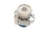 Водяний насос VAG A3/Ibiza/Leon/Octavia/Bora/Caddy/Golf \'\'1,9TDi "95>> SKF VKPC81623 (фото 9)