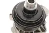 Помпа води BMW 3 (E46)/7 (E65/E66/E67)/X5 (E53) 3.0d 01-06 M47/M57 VKPC 88636 SKF VKPC88636 (фото 7)