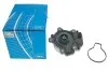 Водяний насос (Вир-во) SKF VKPC 91856 (фото 6)