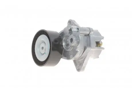 Натяжник ременя генератора SOLGY Solgy 110010