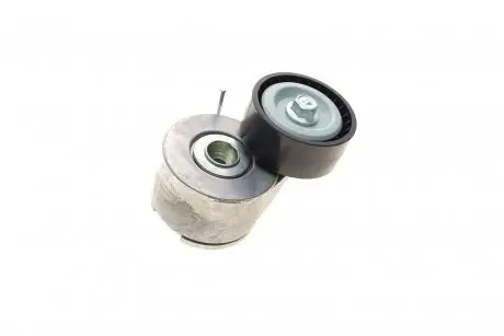 Натяжник ременя генератора SOLGY Solgy 110161