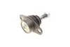 Опора кульова (передня/знизу) BMW 3 (E90/E91/E92) 05-13/X1 (E84) 09-15 SOLGY Solgy 203130 (фото 4)