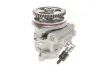 Насос гідропідсилювача SOLGY Solgy 207031 (фото 1)